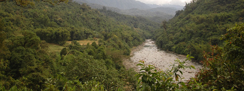 National Park Namdapha